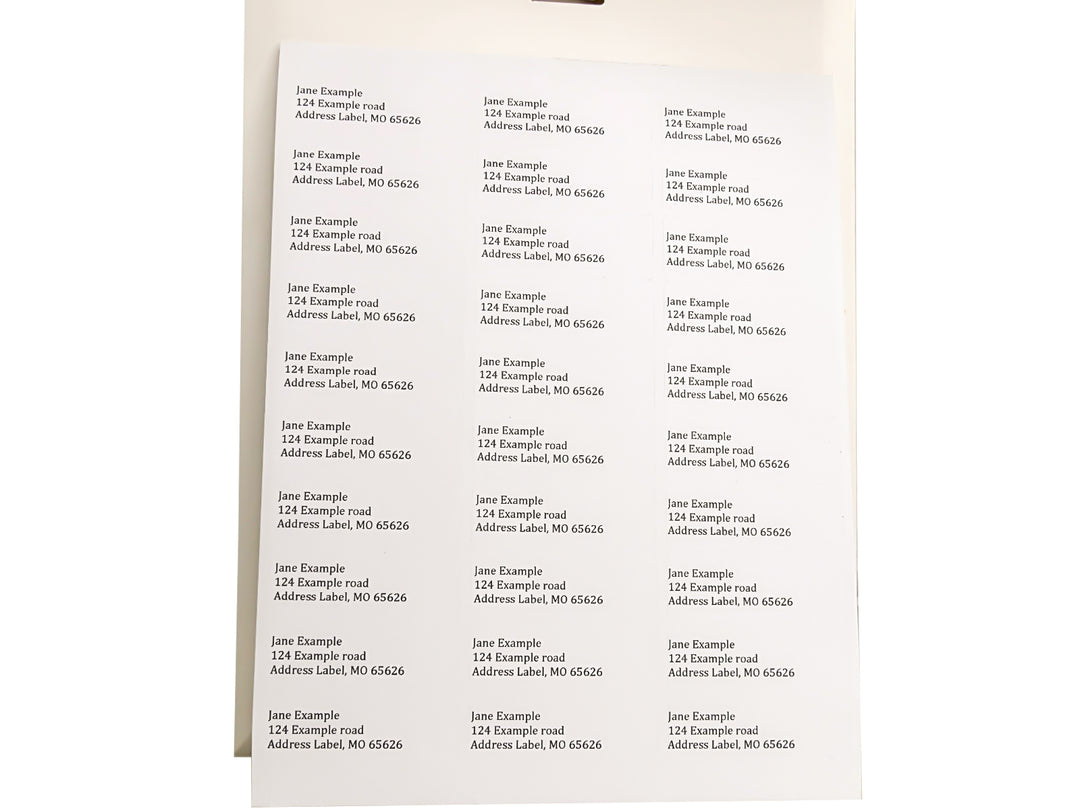 30 EcoSwift Shipping Labels 2 5/8 x 1 inches Mailing Address 30 EcoSwift Shipping Labels 2 5/8 x 1 inches Mailing Address